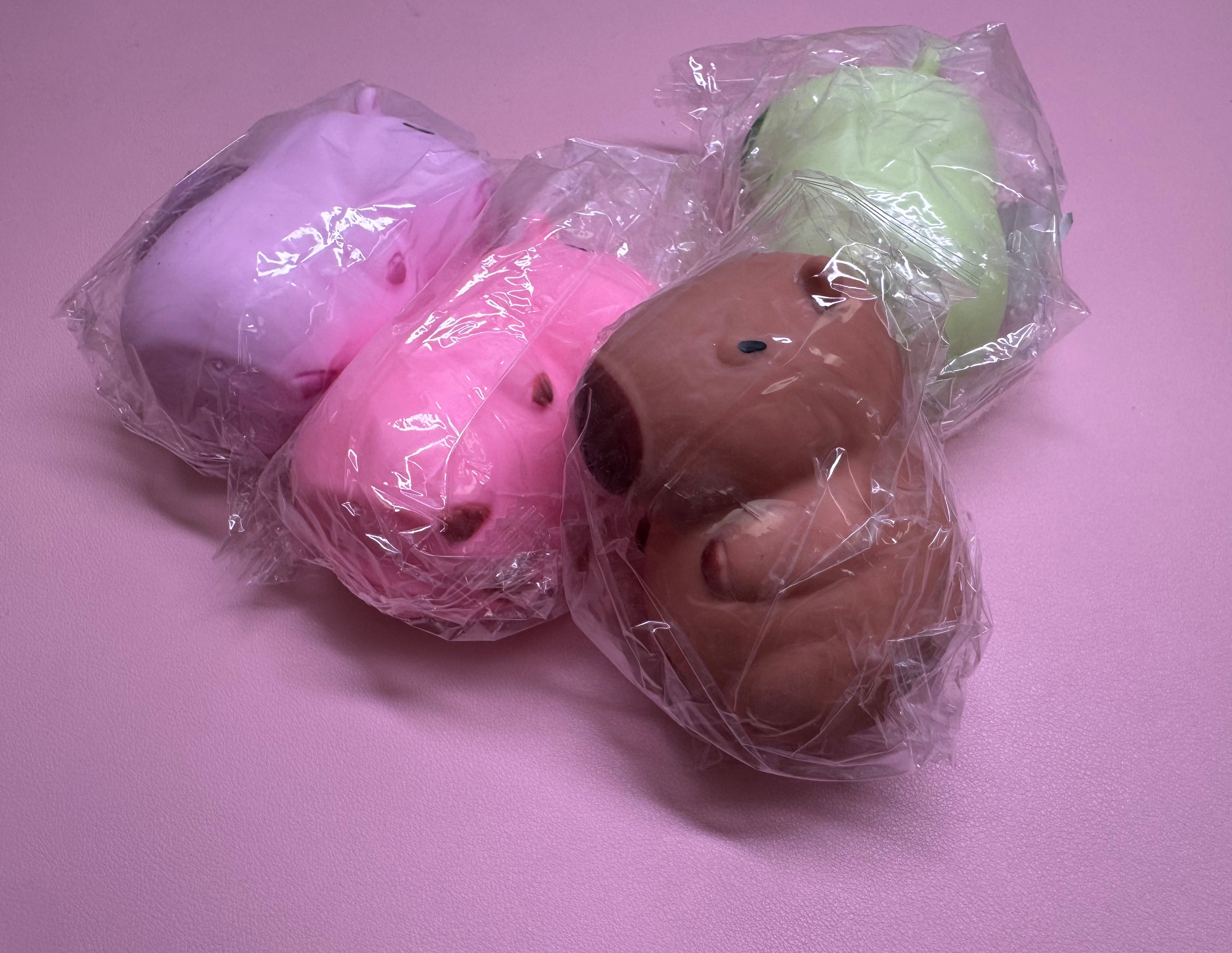 Capybara