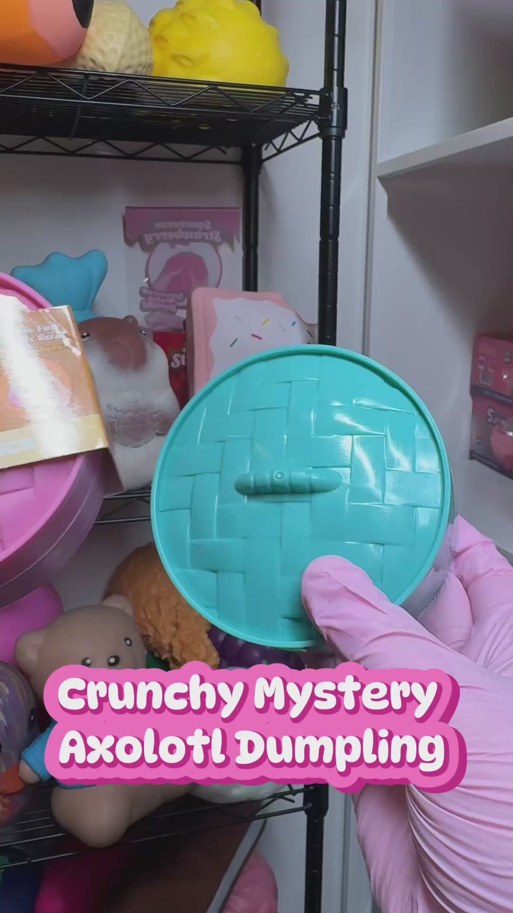 Crunchy Axolotl Mystery Dumpling